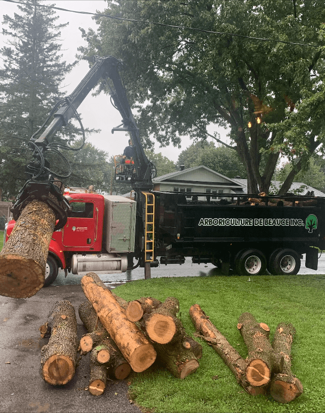 camion-chargeur Camion chargeur Arboriculture de Beauce