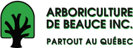 Arboriculture de Beauce Logo v2 Arboriculture de Beauce